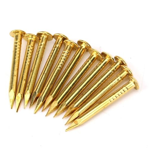 Brass Round Head Nails Brass Escutcheon Pins Brad Nails 100 Pieces 4 Sizes 10mm 15mm 18mm 22mm for Furniture Hinges DIY Antique Decorative (22mm long thickened) 22mm long thickened