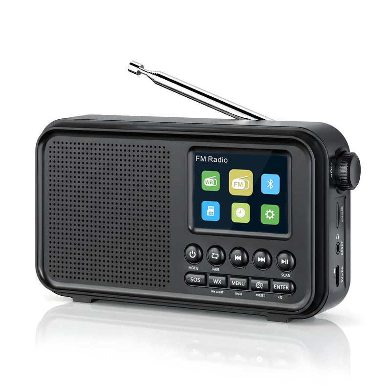 PPLEE Portable FM Radio with Bluetooth, NOAA Weather Alert, Dual Alarms | 2.4" Color Display, USB-C Rechargeable Battery, microSD Music, EQ Sound, FM/WB Radio for Bedroom Office Travel Black