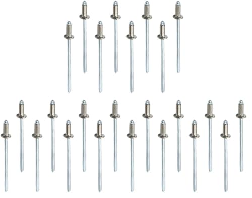 Piutouyar 100Pcs 1/8" x 1/4" Stainless Steel Pop Rivets Assortment, 3.2x6.4mm Dome Head Blind Rivets Metal Boat Rivet for Kayak, Canoe (Pack of 3) 1/8" x 1/4" (Pack of 3) Silver