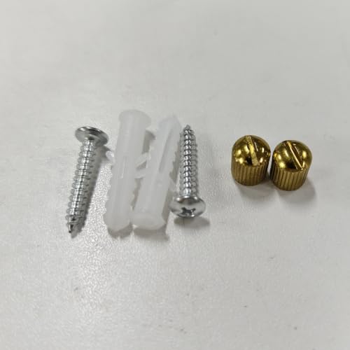 Screws, Screws Nuts and Wall Expansion Anchors for Wall Mounted Mirror, Gold