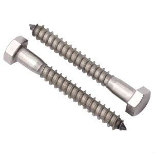  [AUSTRALIA] - (10 PCS) 5/16 x 2" Stainless Steel Hex Lag Screws Bolts, 304 Stainless Steel Hexagon Head Lag Wood Screws, Partial Thread, by RoyceMart 5/16 x 2" (10 pack)