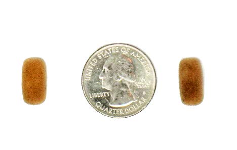  [AUSTRALIA] - Compete Audio CM212 Mini Lavalier (tiny!) Foam Microphone Windscreens (Microphone Covers) Tan 2-Pack For Countryman E6 and other Headset/Lapel Mics Beige