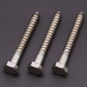  [AUSTRALIA] - (10 PCS) 5/16 x 2" Stainless Steel Hex Lag Screws Bolts, 304 Stainless Steel Hexagon Head Lag Wood Screws, Partial Thread, by RoyceMart 5/16 x 2" (10 pack)