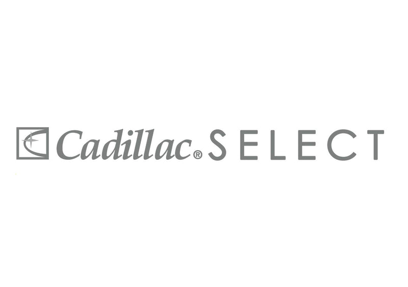  [AUSTRALIA] - Cadillac Select Leather Lotion Cleaner and Conditioner- for Handbags, Sofas, Jackets, Furniture, Purses, and More
