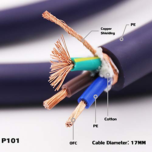 Audiocrast High Fidelity Power Cable (10AWG, OD:17MM, OFC Conductor, Copper Shielding), Hi-End Power Cord AC Mains Cord with US Plug+IEC C13 Connector - 3.3FT (1M) - LeoForward Australia