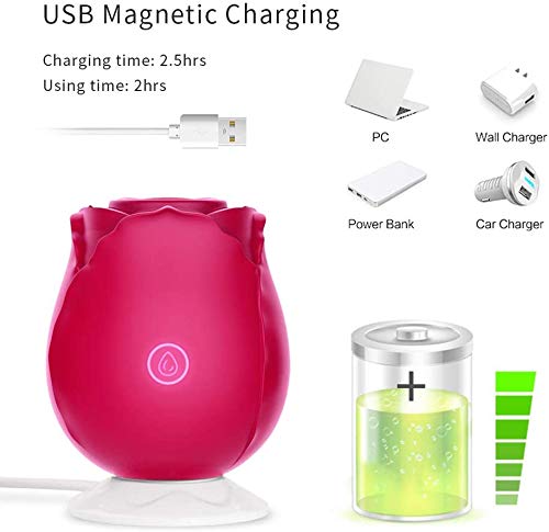 Adorime USB Magnetic Fast Charging Cable for Rose Toy, Product Acessories - LeoForward Australia