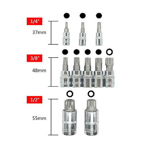 [AUSTRALIA] - XZN Triple Square Spline Bit Socket Set 12 Point Tamper Proof 1/2 1/4 and 3/8 Inch Drive,4mm-18mm,S2 Steel,10 Pieces