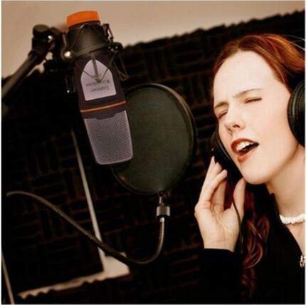  [AUSTRALIA] - ELINKA Computer Microphone,Condenser Microphone,Professional Sound Podcast Studio Microphone for PC Laptop Skype MSN Computer Recording Black with Windscreen Sponge Sleeve