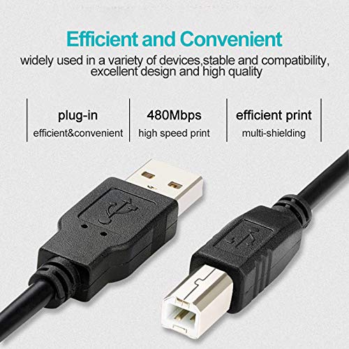  [AUSTRALIA] - Printer Cable to Computer USB Printer Scanner Cable High Speed A Male to B Male Cord Compatible with HP, Canon, Dell, Epson, Lexmark, Xerox, Samsung and More (10FT)