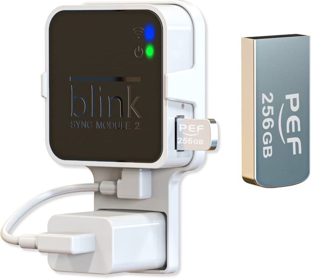  [AUSTRALIA] - 256GB Blink USB Flash Drive for Local Video Storage and The Outlet Mount for Blink Sync Module 2(Blink Add-On Sync Module 2 Itself is NOT Included) 256G Flash Drive + Module Mount