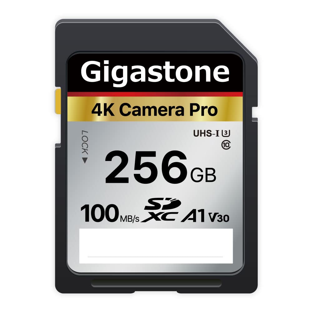  [AUSTRALIA] - Gigastone 256GB SD Card,4K Camera Pro, A1 V30 SDXC Memory Card High Speed 4K Ultra HD UHD Video Compatible with Canon Nikon Sony Pentax Kodak Olympus Panasonic Digital Camera, with 1 Mini case 4K Camera Pro 256GB 1-Pack