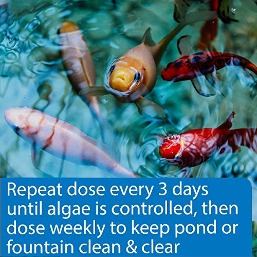 API POND ALGAEFIX Algae control, Effectively controls Green water algae, String or Hair algae and Blanketweed, Use as directed when algae blooms and as regular care 16 Fl Oz (Pack of 1) - LeoForward Australia