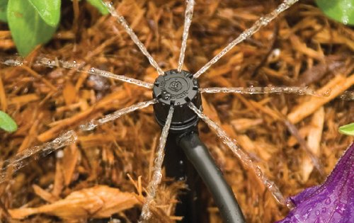  [AUSTRALIA] - Rain Bird MBF4PKS Drip Irrigation Micro-Bubbler on Stake, 360° Full Circle Pattern, 0 - 3' Spray Distance, 4-Pack Staked 360° Full Circle Pattern