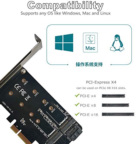  [AUSTRALIA] - Valuegist Dual M.2 PCIE Adapter for SATA or PCIE NVMe SSD, M.2 SSD NVME (m Key) and SATA (b Key) 2280 2260 2242 2230 to PCI-e 3.0 x 4 Host Controller Expansion Card (MKeyBkey) MKeyBkey