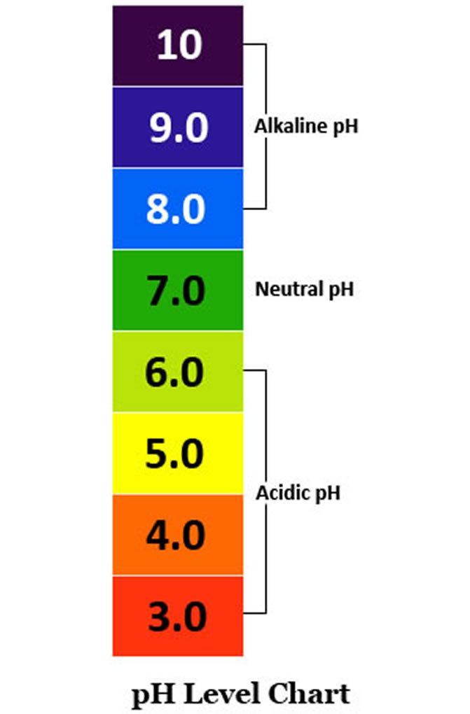 Digital Aid pH Meter. Professional Quality Water Test Meter by Large Backlit LCD Screen. Range 0.00 to 14.0 pH. 3 Free Buffer Solution Powders. Plus get 6 More - See Below. - LeoForward Australia