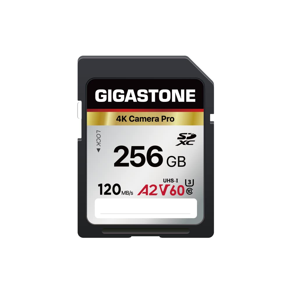  [AUSTRALIA] - Gigastone 256GB SD Card, 4K Camera Pro, A2 V60 SDXC Memory Card High Speed 4K Ultra HD UHD Video Compatible with Canon Nikon Sony Pentax Kodak Olympus Panasonic Digital Camera, with 1 Mini case SD 256GB V60 1-Pack