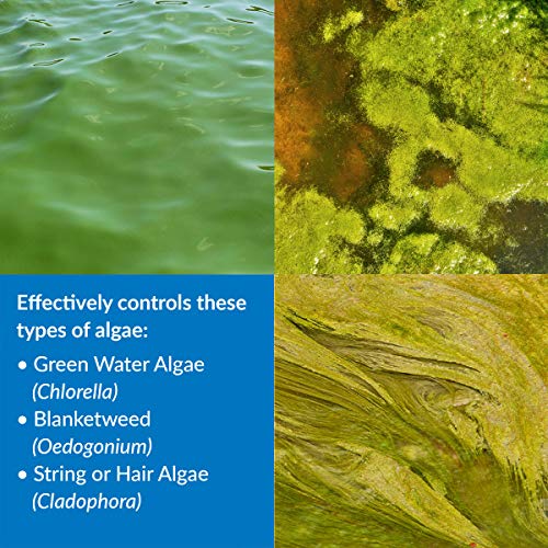 API POND ALGAEFIX Algae control, Effectively controls Green water algae, String or Hair algae and Blanketweed, Use as directed when algae blooms and as regular care 16 Fl Oz (Pack of 1) - LeoForward Australia