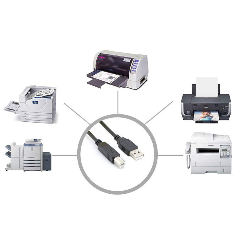  [AUSTRALIA] - BRENDAZ USB Printer Cable Compatible with HP Laserjet Pro M15w, Laserjet Pro M404n, Laserjet Pro M29w, Laserjet Pro M227fdw Laser Printer, USB 2.0 Type A Male to B Male Printer Cord (10-Feet) 10-Feet