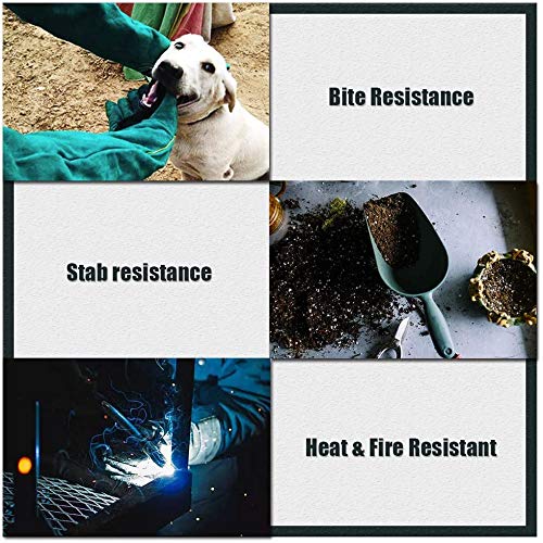  [AUSTRALIA] - AOWPFVV Animal Handling Gloves Bite Proof Leather for Dog,Cat Scratch,Falcon,Reptile,Snake,Long Welding Gloves Light Green