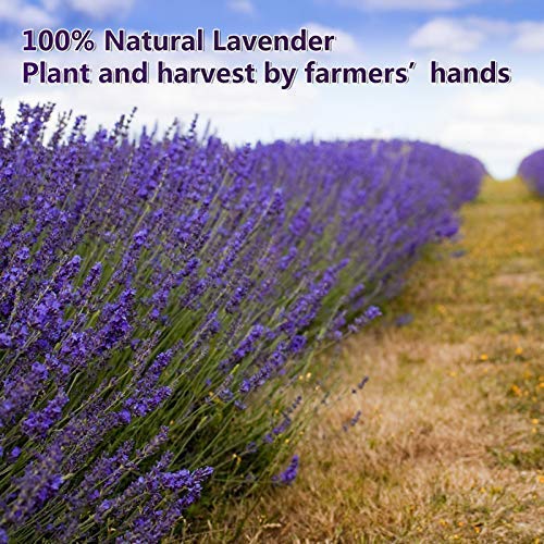  [AUSTRALIA] - Timoo Dried Lavender Bundles 100% Natural Dried Lavender Flowers for Home Decoration, Photo Props, Home Fragrance, 2 Bundles Pack