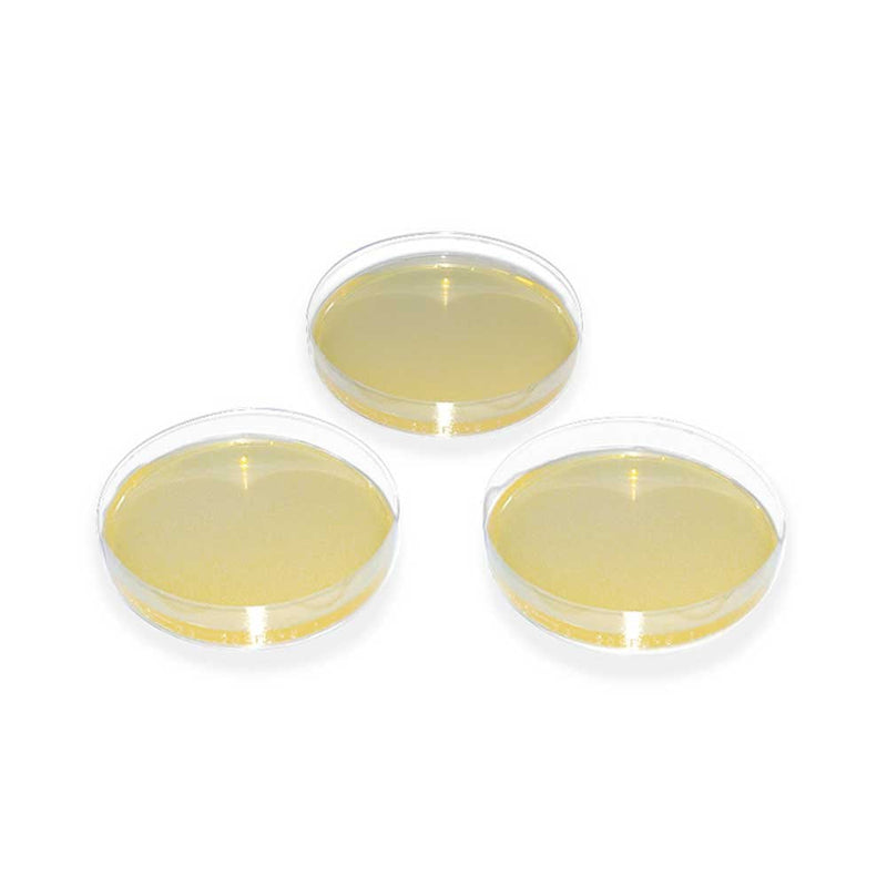  [AUSTRALIA] - MegroPlate SABOURAUD-2% glucose agar culture medium agar plates dermatophytes, 20 pcs.