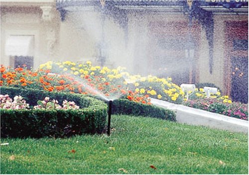  [AUSTRALIA] - Toro 53710 12-Inch Pop-Up Fixed Spray Shrub Sprinkler (Body Only - Nozzle Sold Separately) , Black 12" Pop-Up