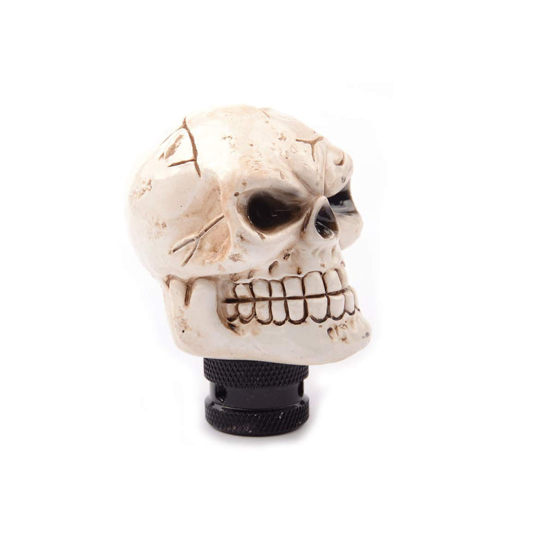  [AUSTRALIA] - SMKJ Universal Skull with Brain Shift knob Automatic Manual Gear Shifter knob Resin Shift Lever fit for Most Transmission Vehicles (Bone Color) Bone color