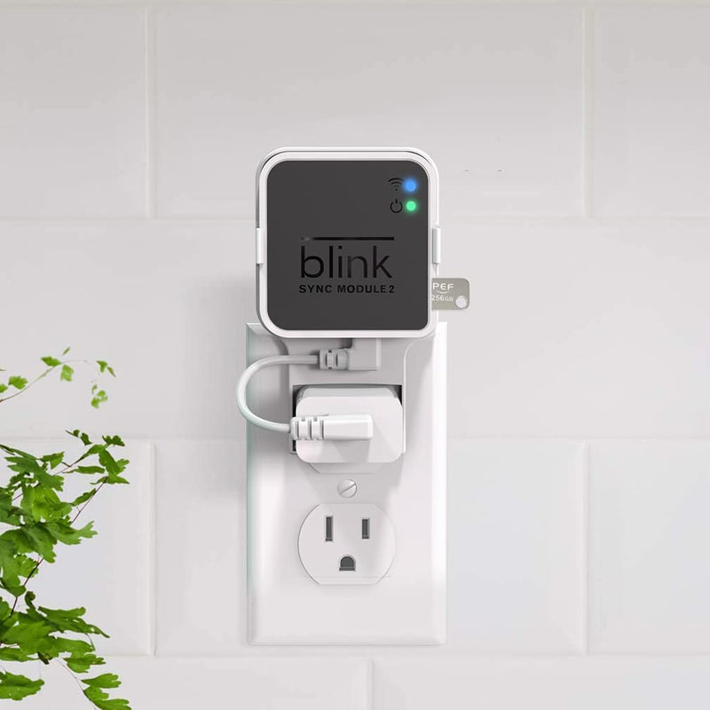  [AUSTRALIA] - 256GB Blink USB Flash Drive and Outlet Wall Mount for Blink Sync Module 2, Space Saving for Blink Outdoor Indoor Security Camera (Blink Sync Module 2 is NOT Included) 256G USB Flash Drive