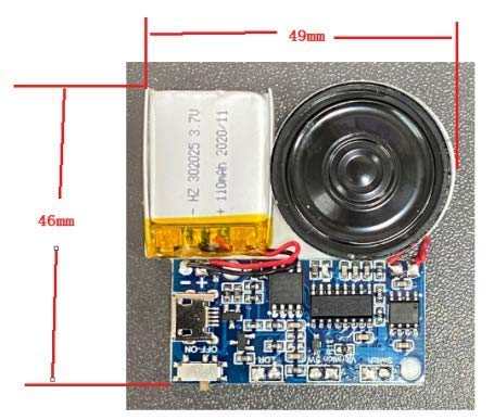 Press-Button Control Activated MP3 Recordable PCB Sound Module USB Downloadable Sound Module for Crafts, Christmas,New Year Greeting Cards-with Speaker Lithium Battery Powered and USB Cable - LeoForward Australia