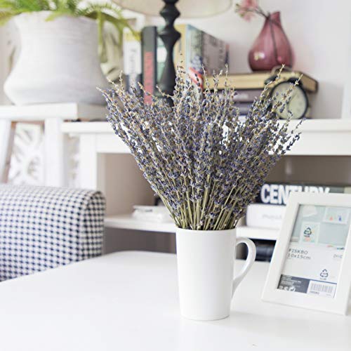  [AUSTRALIA] - Timoo Dried Lavender Bundles 100% Natural Dried Lavender Flowers for Home Decoration, Photo Props, Home Fragrance, 2 Bundles Pack