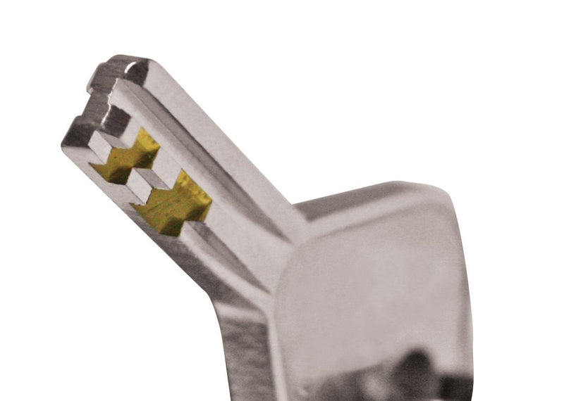  [AUSTRALIA] - Reese Towpower 70305 Professional Chrome Coupler Lock