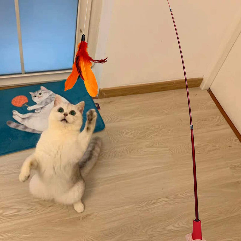 MeoHui Interactive Cat Feather Toys, 2PCS Retractable Cat Wand Toy and 9PCS Squiggly Worm Feathers Teaser Refills, Cat Toys for Indoor Cats Kitten Play Chase Exercise Basic - LeoForward Australia