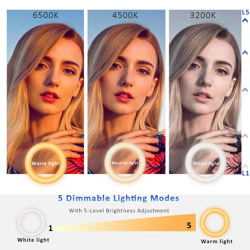  [AUSTRALIA] - Cyezcor Video Conference Lighting Kit, Light for Monitor Clip On,for Remote Working, Distance Learning,Zoom Call Lighting, Self Broadcasting and Live Streaming, Computer Laptop Video Conferencing