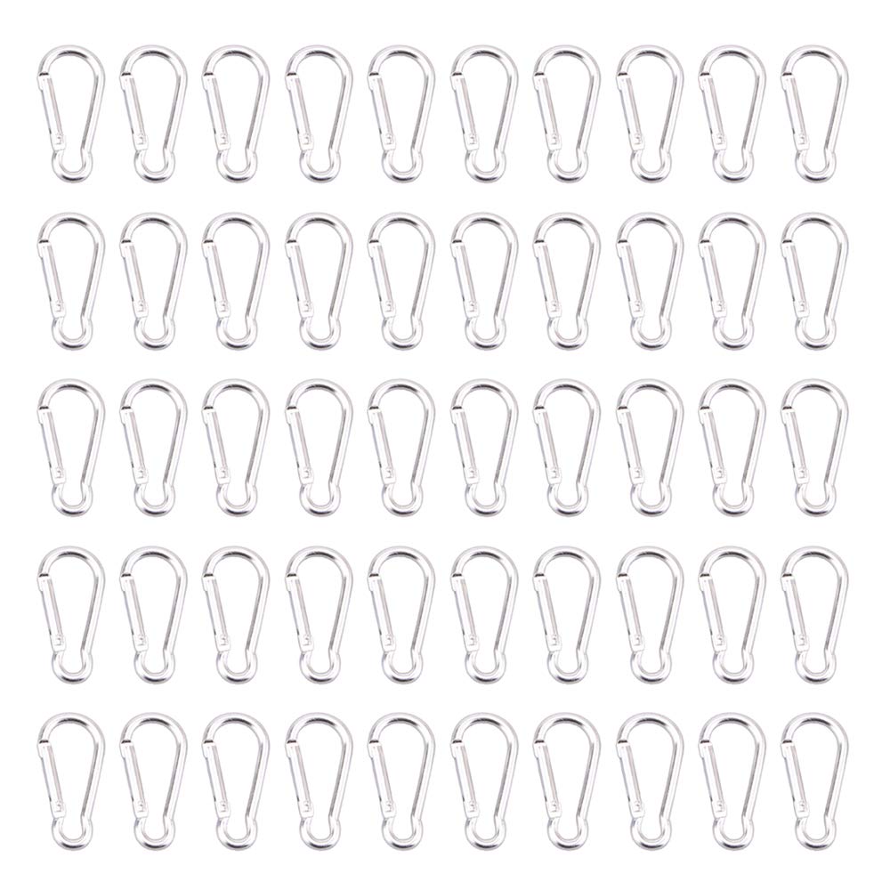  [AUSTRALIA] - 200pcs Aluminum Carabiner Clip Small Caribeaner Spring Snap Hook Key Chain Keyring Bulk D Ring Carabiners for Backpacking, Camping, Hiking, Silver