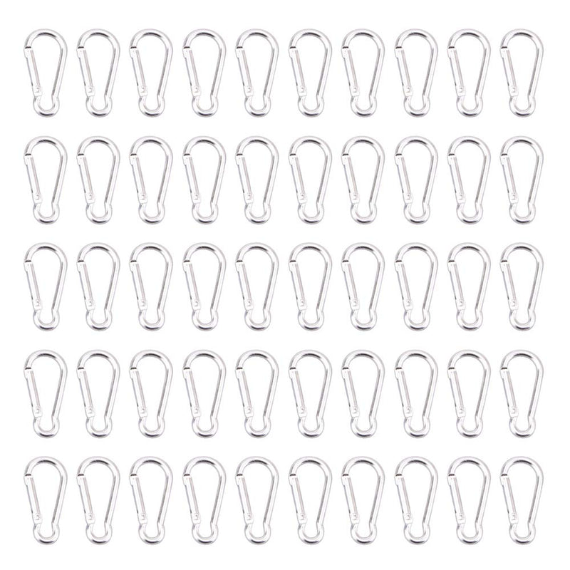  [AUSTRALIA] - 200pcs Aluminum Carabiner Clip Small Caribeaner Spring Snap Hook Key Chain Keyring Bulk D Ring Carabiners for Backpacking, Camping, Hiking, Silver