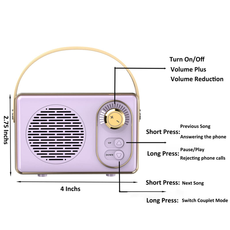  [AUSTRALIA] - Retro Bluetooth Speaker,Vintage Decor,Vintage Bluetooth Speakers,Wireless Portable Bluetooth Speaker Supports TWS Pairing/U-Disk/TF Card/AUX for Bedroom, Living Room, Desk Decorations (Pink) Pink