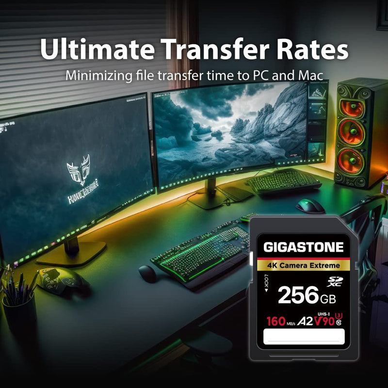 [AUSTRALIA] - Gigastone 256GB SD Card, Camera Extreme, A2 V90 U3 SDXC Memory Card High Speed UHD Video Compatible with Canon Nikon Sony Panasonic Digital Camera, with 1 Mini case SD Camera Extreme 256GB 256GB 1-Pack