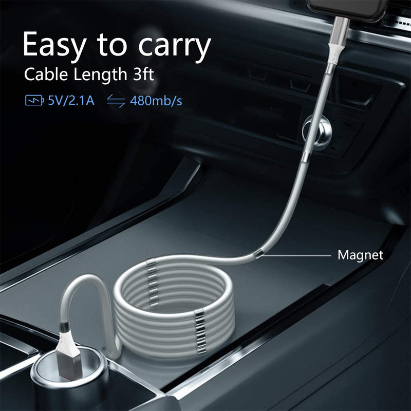 Magnetic Charging Cable,(3FT) Super Organized Charging Magnetic Absorption Nano Data Cable for Phone 11/XS/XS Max/XR/X/8/8 Plus/7/7 Plus/6s/6s Plus/6/6 Plus/SE/5s/5c/5/Pad/Pod - LeoForward Australia