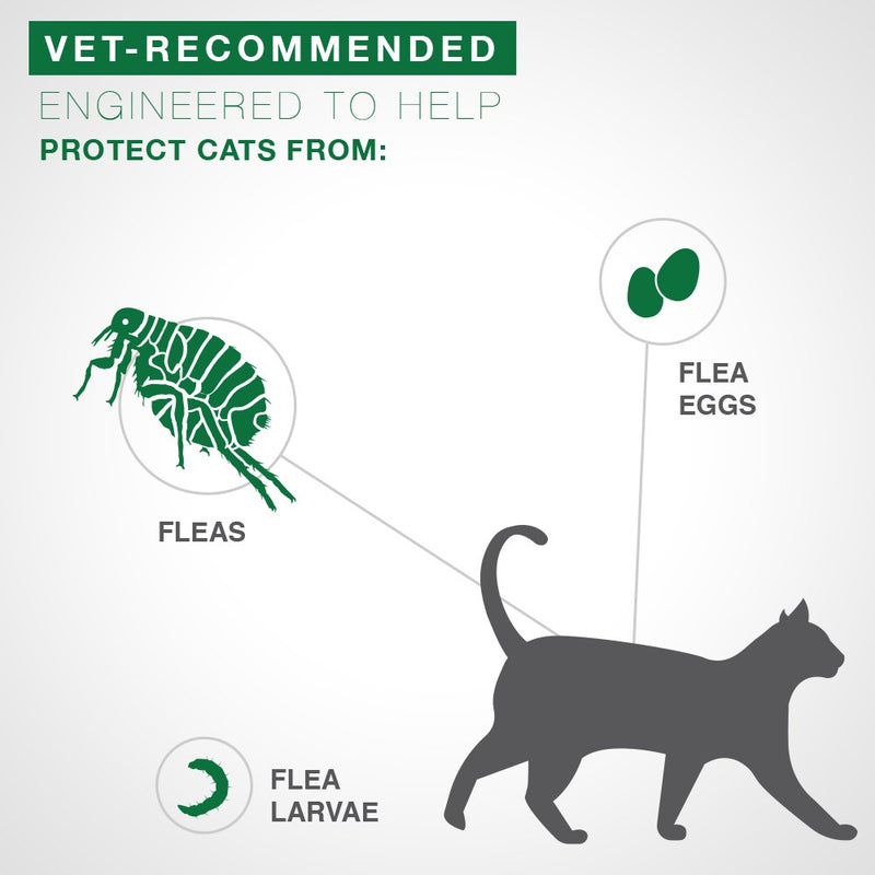 Advantage II Flea Prevention and Treatment for Large Cats, Over 9 Pounds 1-pack Large Cat Only - LeoForward Australia