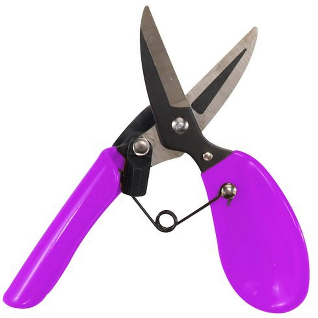  [AUSTRALIA] - Dramm 18006 ColorStorm Premium Garden Scissors, Berry