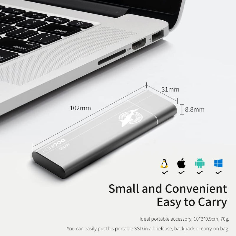  [AUSTRALIA] - Dogfish Portable External SSD 128GB up to 2400MB/s 3D NAND NVMe Pcie M.2 Aluminum USB 3.1 Type C Ultralight Solid State Drives for Mac, Desktop, PC, Laptop External SSD(Pcie)