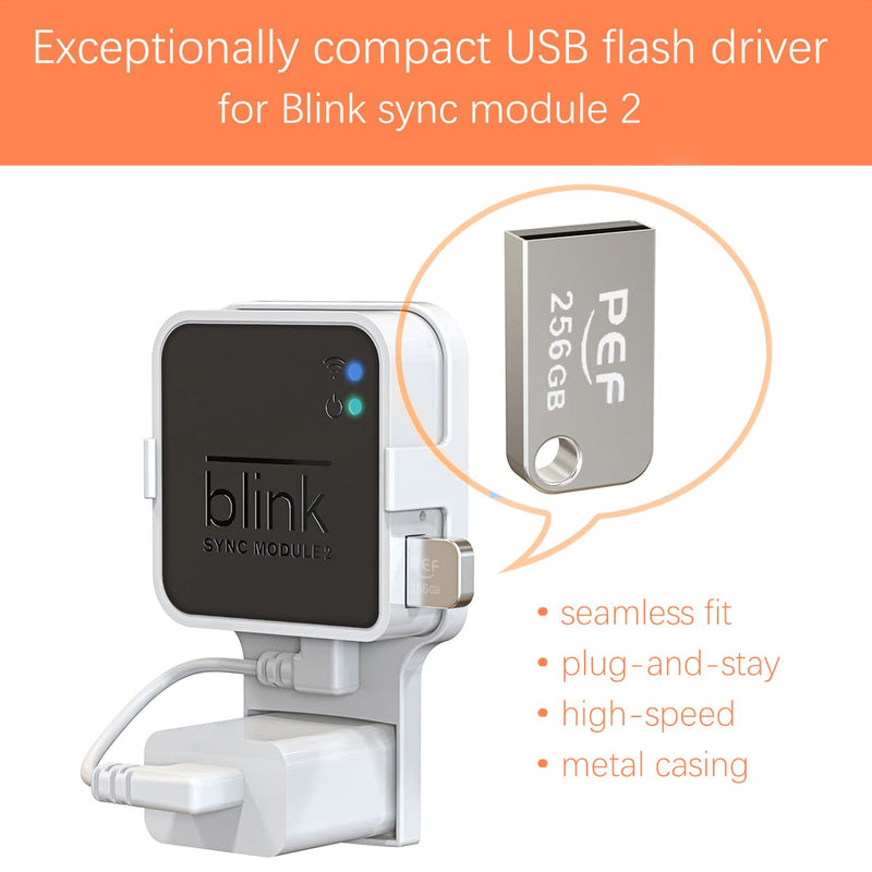  [AUSTRALIA] - 256GB Blink USB Flash Drive and Outlet Wall Mount for Blink Sync Module 2, Space Saving for Blink Outdoor Indoor Security Camera (Blink Sync Module 2 is NOT Included) 256G USB Flash Drive