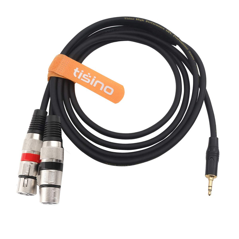  [AUSTRALIA] - TISINO Dual XLR to 3.5mm Stereo Mic Cable, 2 XLR Female to 1/8 Inch Mini Jack Y-Splitter Breakout Lead Microphone Cord - 3.3 feet