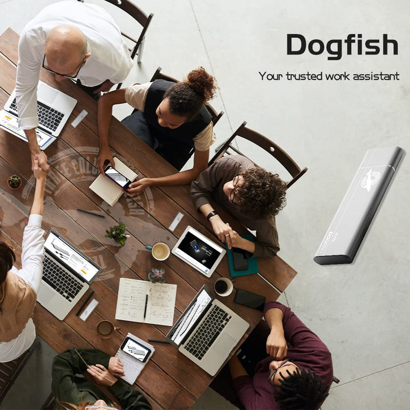  [AUSTRALIA] - Dogfish Portable External SSD 128GB up to 2400MB/s 3D NAND NVMe Pcie M.2 Aluminum USB 3.1 Type C Ultralight Solid State Drives for Mac, Desktop, PC, Laptop External SSD(Pcie)