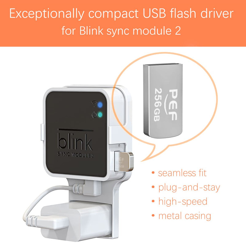  [AUSTRALIA] - 256GB Blink USB Flash Drive for Local Video Storage and The Outlet Mount for Blink Sync Module 2(Blink Add-On Sync Module 2 Itself is NOT Included) 256G Flash Drive + Module Mount