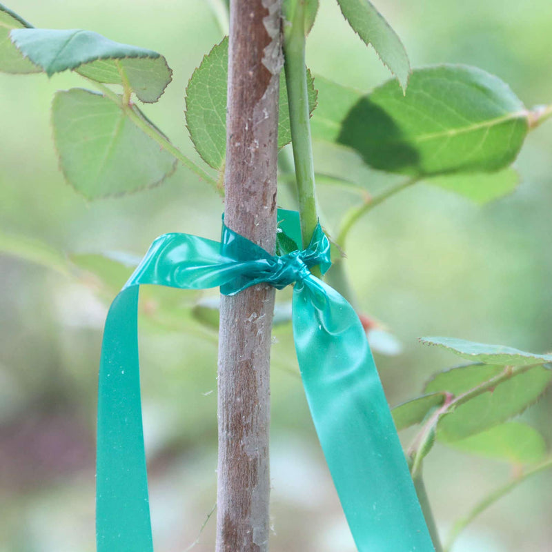  [AUSTRALIA] - Easytle Stretch Tie Tape Roll, 1/2" 150ft Garden Tie Tape, Thick Sturdy Plant Ribbon Garden Green Vinyl Stake Gardening Tools for Indoor Outdoor Patio Plant Use