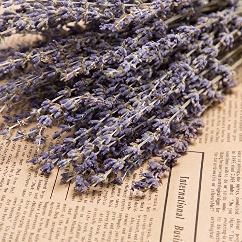  [AUSTRALIA] - Timoo Dried Lavender Bundles 100% Natural Dried Lavender Flowers for Home Decoration, Photo Props, Home Fragrance, 2 Bundles Pack