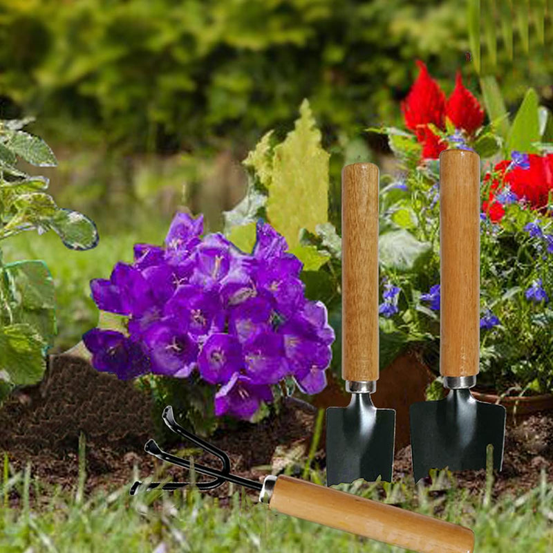  [AUSTRALIA] - Succulent Mini Garden Tool Set, Includes Hand Shovel, Transplant Shovel, Cultivator Hand Rake, Indoor Miniature Fairy Garden Plant Care (3) 3