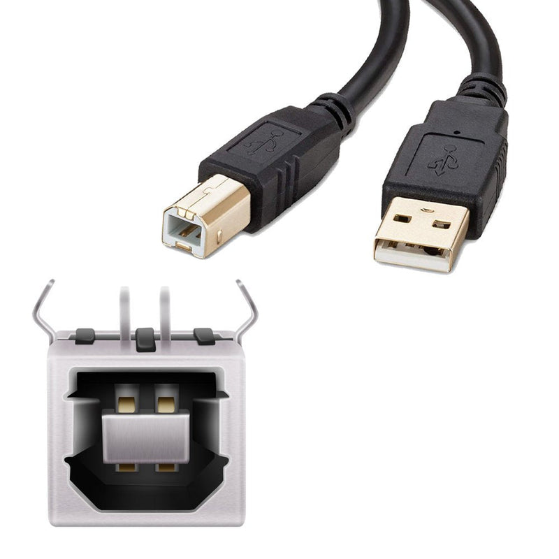  [AUSTRALIA] - USB Female Type-B Port 4-Pin Right Angle PCB DIP Jack Socket 10 Pack by MXRS