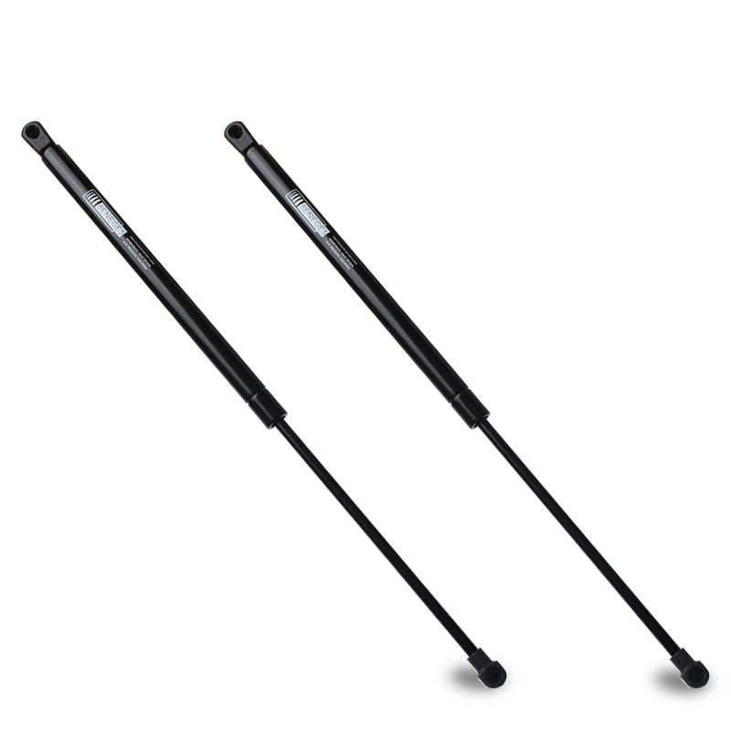 Beneges 2PCs Hood Lift Supports Compatible with 2010-2015 Lexus RX350 RX450h Front Hood Gas Spring Charged Struts Shocks Dampers 6755, SG229046, 534400W200, PM3269 - LeoForward Australia